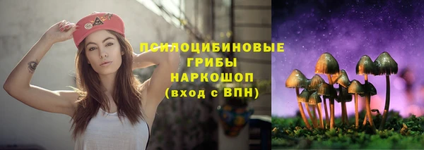 бутират Татарск