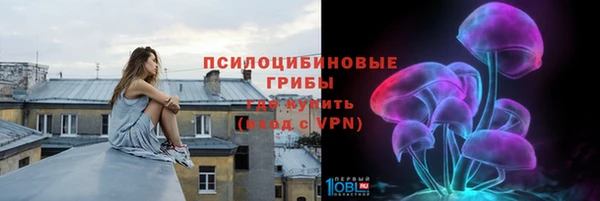 дурь Покачи