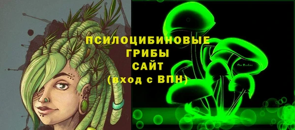 дурь Покачи