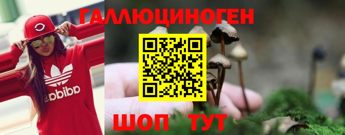 Псилоцибиновые грибы мицелий Аксай